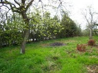 jardin
